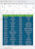 do professional excel data entry formatting,