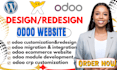 design and redesign a professional odoo website and ecommerce store