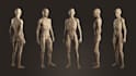 create amazing mmd model, sfm, vtuber, vrchat, vrm model, furry avatar, gmod