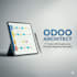 provide a professional odoo business analysis and process mapping