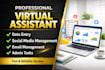 virtual assistant, data entry, inbox management, scheduling