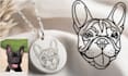 create a minimalist pet logo icon for your business