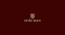 design a custom rough texture logo for your brand
