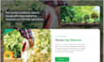 build or rebuild ai business website full stack website development blog design