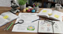 create comprehensive lesson plans or lesson notes