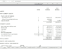 prepare financial statements as per ifrs
