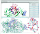 do molecular docking and protein ligand binding analysis