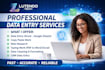 provide professional data entry and excel services