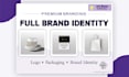 design a professional logo and complete brand identity kit