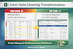 clean, format and organize excel data professionally