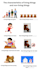 create printable worksheets for teachers and students