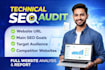 do technical SEO audit and website analysis