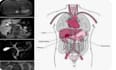 help you better understand your imaging results