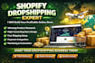build a shopify website design and redesign dropshipping store
