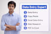 do fast data entry, copy paste and excel data entry