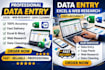 data entry, excel work, google sheets and  formatting