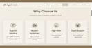 build a professional multi page responsive website