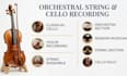 record classical cello, violin, string ensemble, or orchestra section
