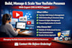 manage youtube cms, mcn setup, and channel optimization