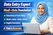 do data entry, copy paste and hindi urdu translation
