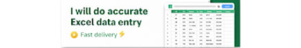 create professional excel spreadsheets, data entry
