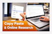 do expert data entry and online research