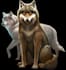 do funny animal digital painting