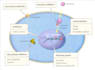 design modern medical and pharmacy PPT slides