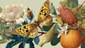 draw an animal and botanical illustration