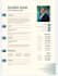 make a good resume design like a pro