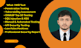 provide penetration testing and website security assessment service