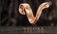 do 2d and 3d logo design