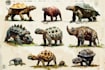 draw animals in scientific illustration digitally