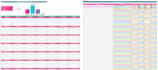 create a custom excel dashboard, budget tracker, business planner