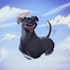 draw your pet in cartoonish style
