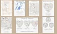 create custom map poster personalized couple gift wedding anniversary art