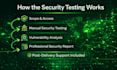 do penetration testing, vulnerability assessment and provide website security