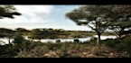 build 3d game environment level design metaverse environment in unity or unreal