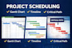 create professional ms project schedule, gantt chart and wbs