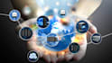 build a professional business website with one year of premium managed hosting
