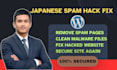 fix japanese spam hack and clean hacked wordpress website