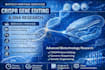 write biotechnology, medical, and scientific research content
