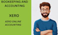 do xero expert bookeeping