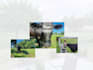 create farm lifestyle ugc content