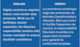 provide professional technical localization