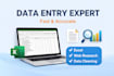 do fast and accurate data entry, excel work, copy paste and web research