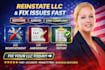 reinstate llc, llc amendment, llc annual report, fix llc issues