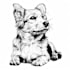 draw vector line art illustration