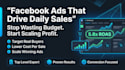 be your lead generating, high converting facebook ads expert