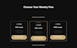 designed a lead magnet funnel and sales funnel